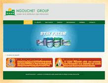 Tablet Screenshot of ngouchetgroup.com